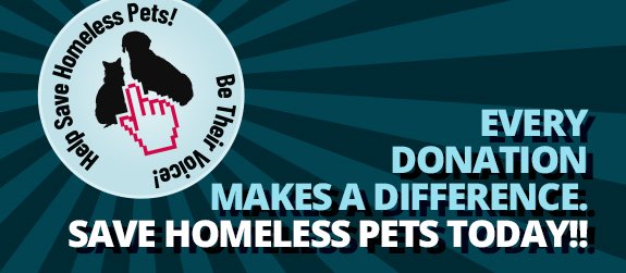 Save Homeless Pets!