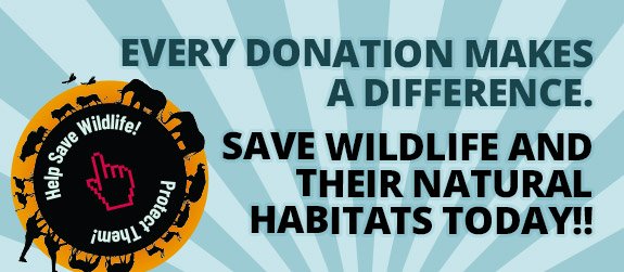 Help Conserve Wildlife!